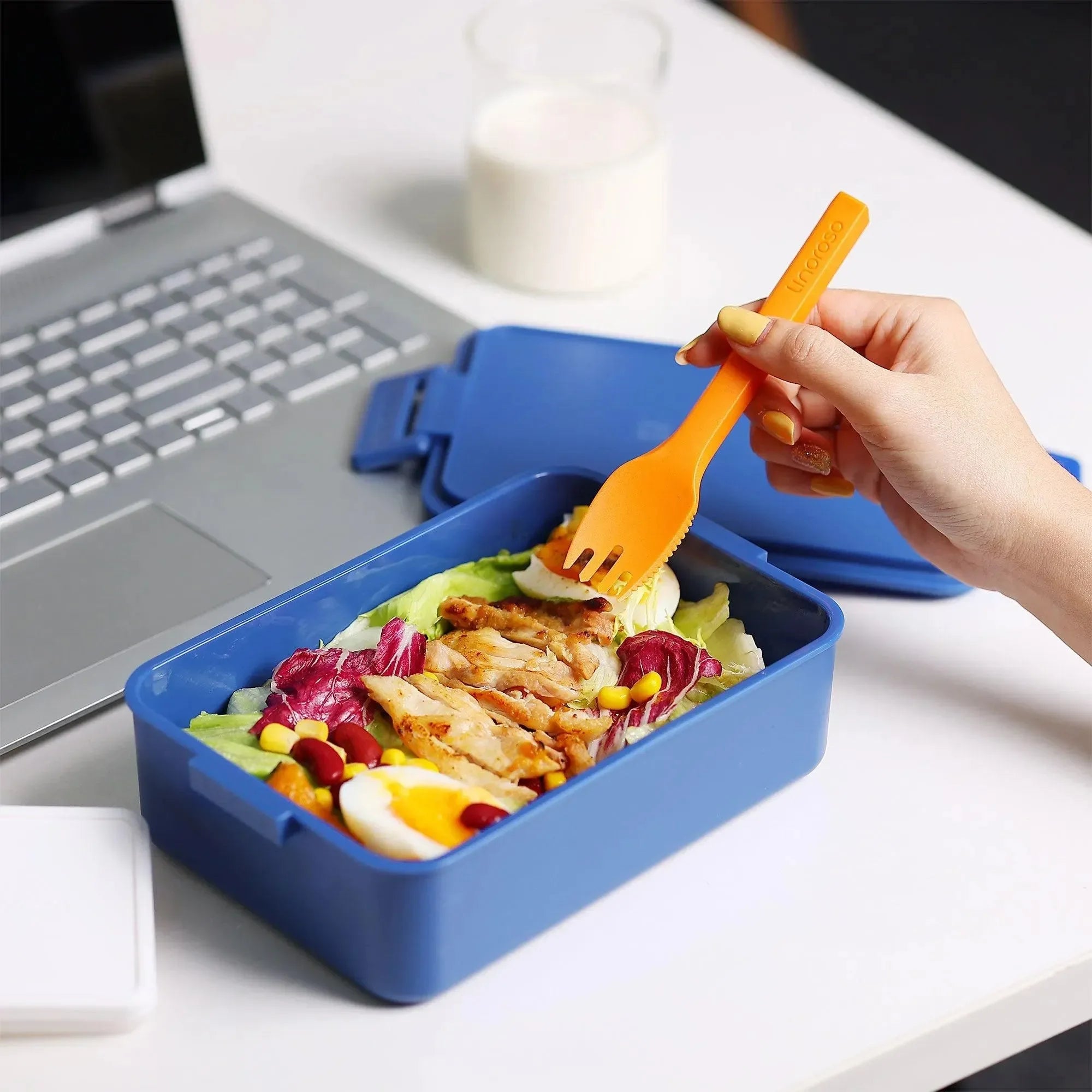Linoroso Bento Box-Classic Blue - Linoroso