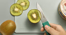 Color-Coded Paring Knife Set of 4