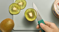 Color-Coded Paring Knife Set of 4